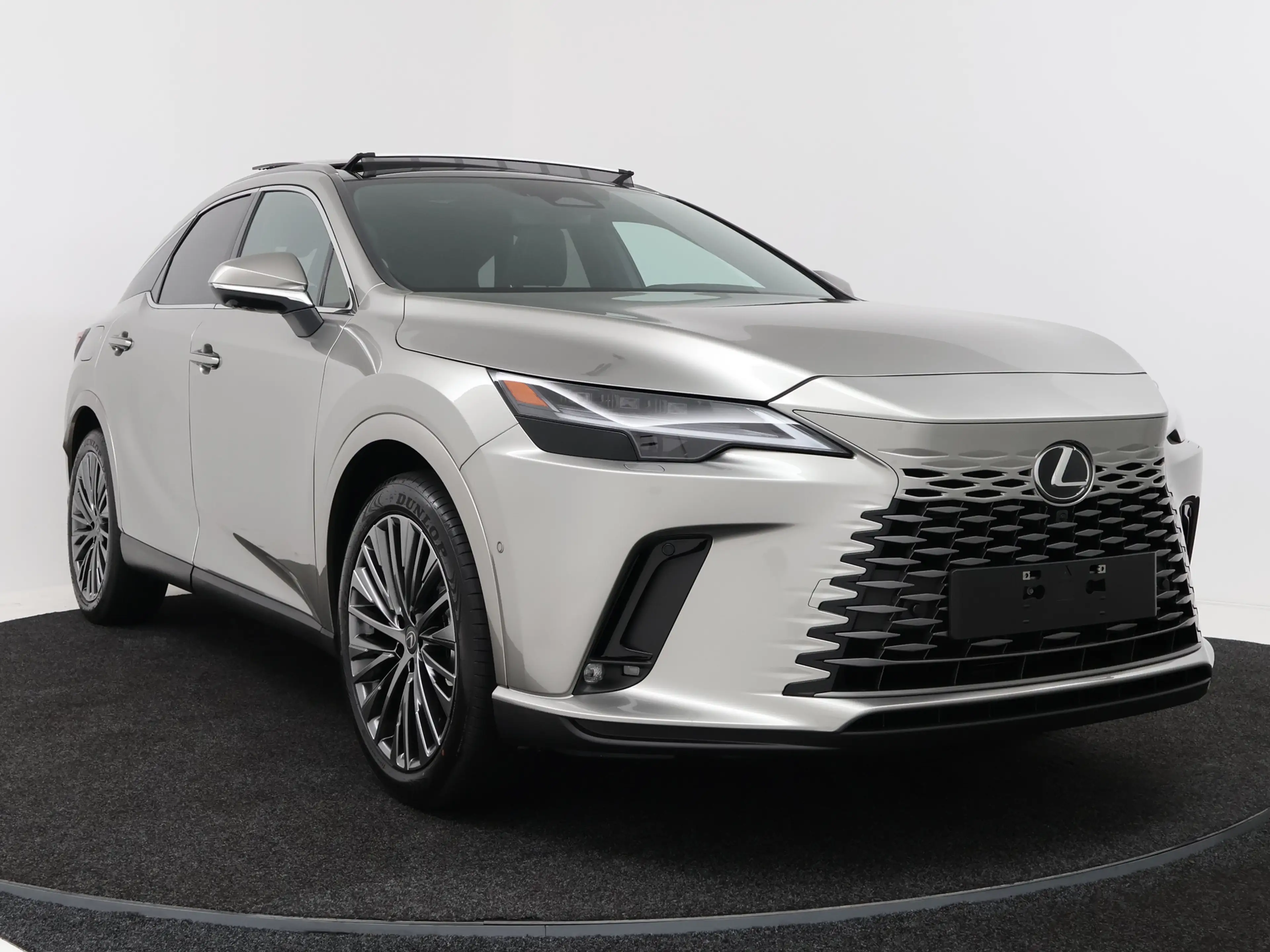 Lexus RX 450h 450h+ Plug-in Hybrid President Line | Mark Levinso — photo 15