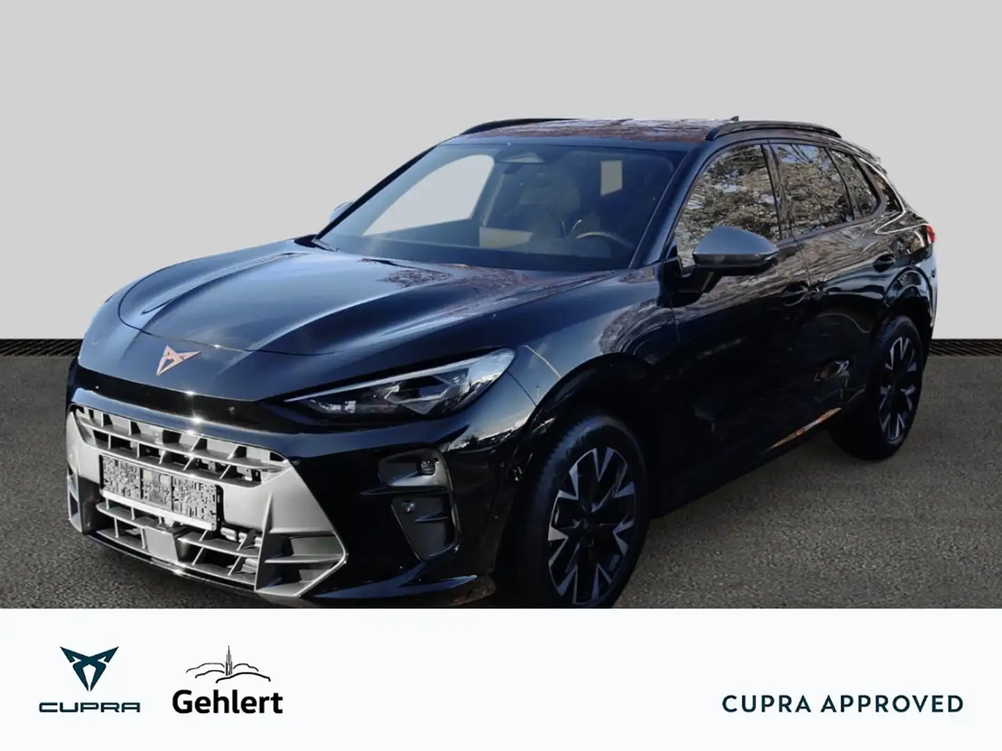 CUPRA Terramar 1.5 eTSI 110 kW HUD Navi Digitales Cockpit Memory Schwarz - 1