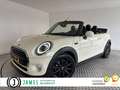 MINI Cooper Cabrio Mini 1.5 Chili NL auto, Leder, Blanc - thumbnail 1