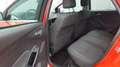 Ford Focus Turnier 1.0 EcoBoost Business ZAHNRIEMEN-INSP. NEU Rouge - thumbnail 14