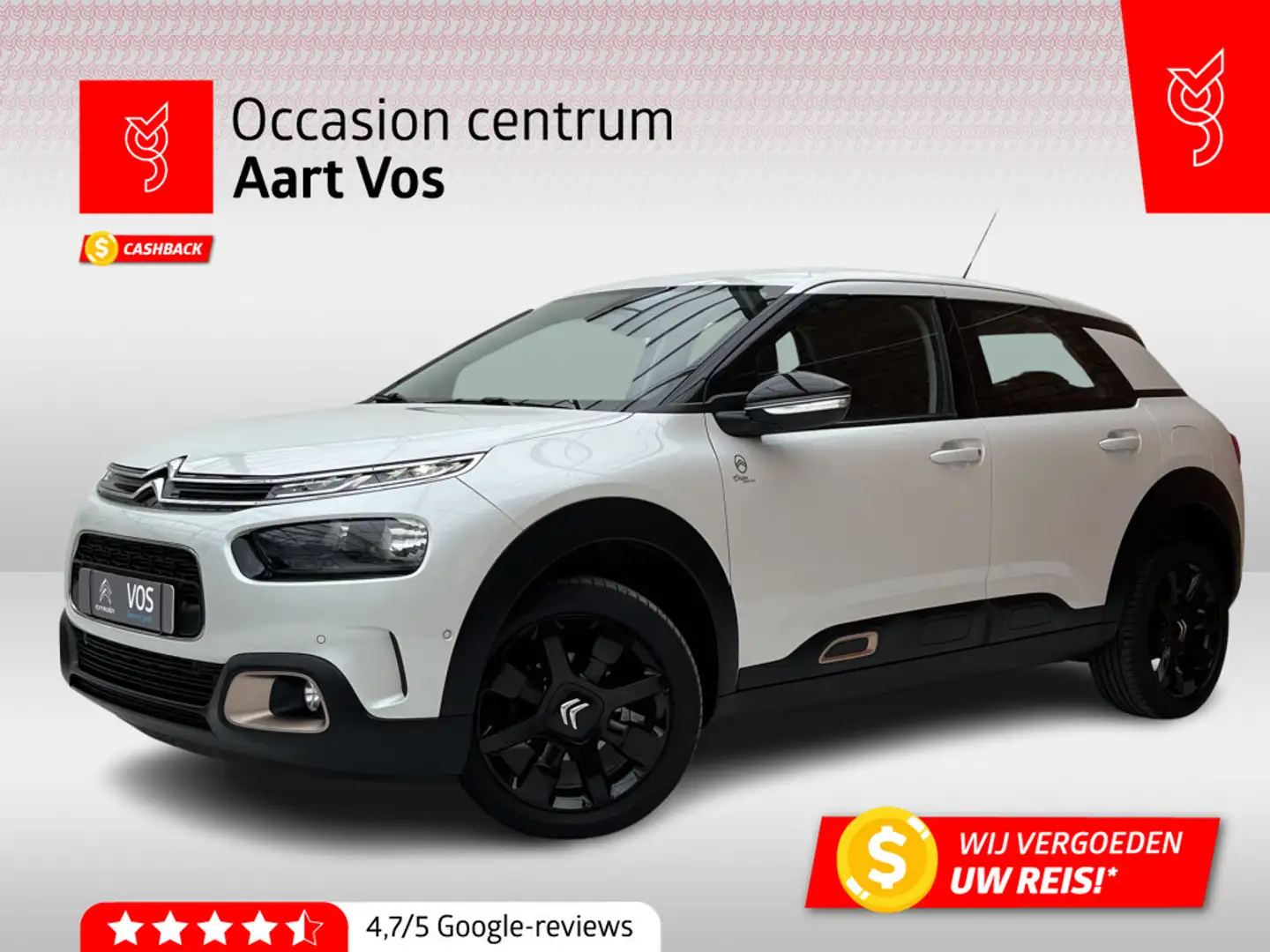 Citroen C4 Cactus PureTech 110 S&S Origins | Shine | Camera Achter | Weiß - 1