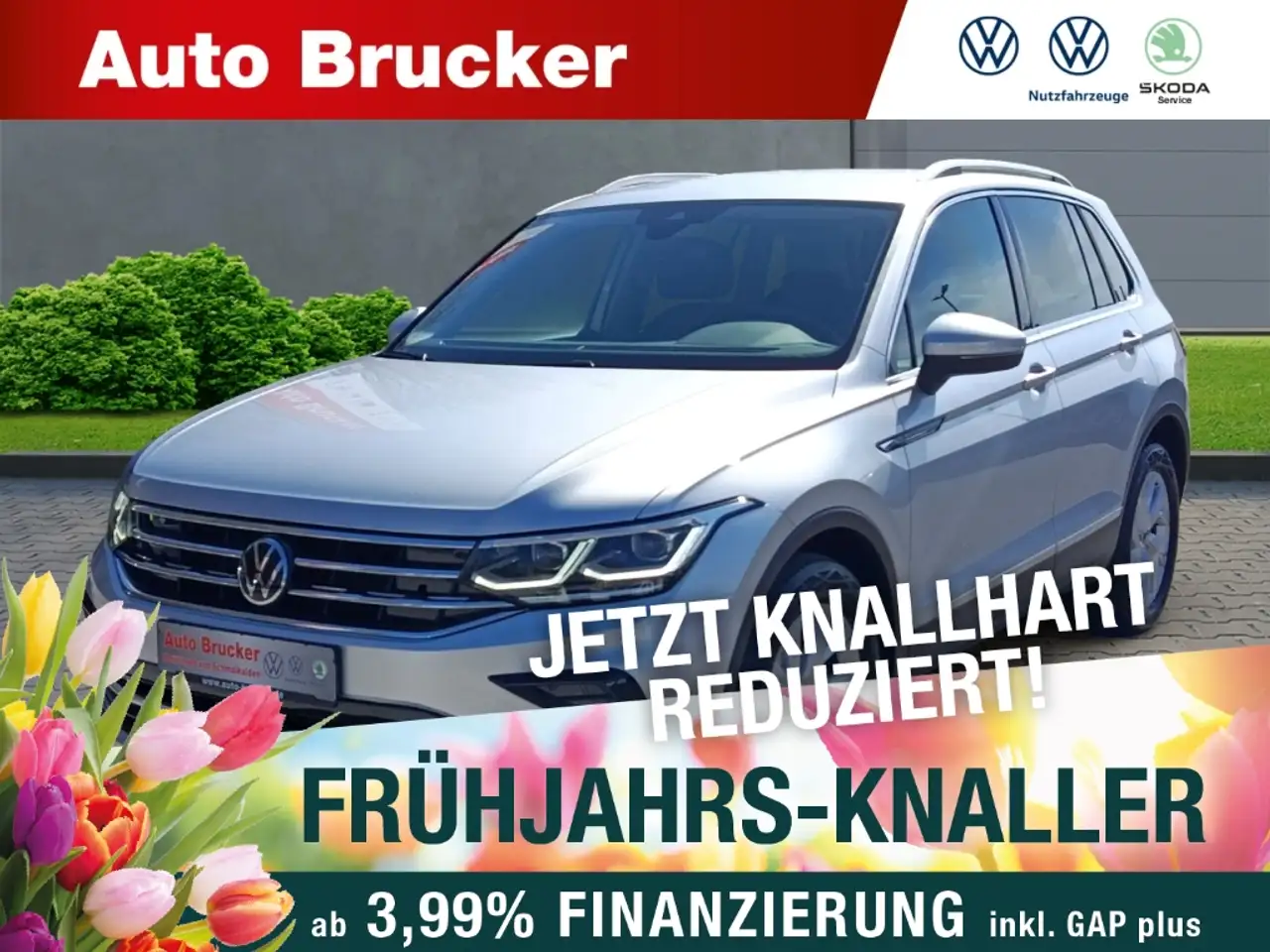 Volkswagen Tiguan Elegance 1.5 TSI Sitzhzg+PDC+Rückfahrkamera