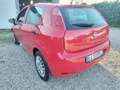 Fiat Punto 1.2 8V 5 porte Street Rood - thumbnail 4