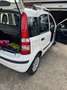 Fiat Panda 1.2 MyLife 69cv - thumbnail 9