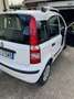 Fiat Panda 1.2 MyLife 69cv - thumbnail 8