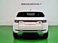 Land Rover Range Rover Evoque Range Rover Evoque 5p 2.0 td4 HSE 150cv auto Weiß - thumbnail 9