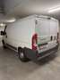 Fiat Ducato ErstBesitz Nur 59.900KM Diesel 115PS Weiß - thumbnail 4