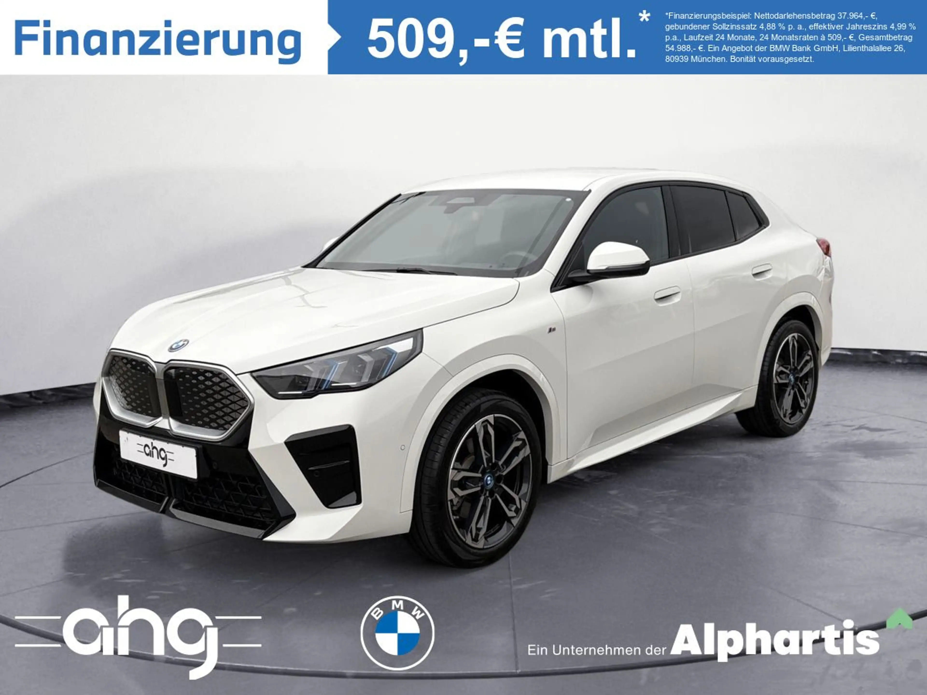BMW iX2 ix2 xDrive30 Navi Tempom.aktiv Bluetooth PDC Hea