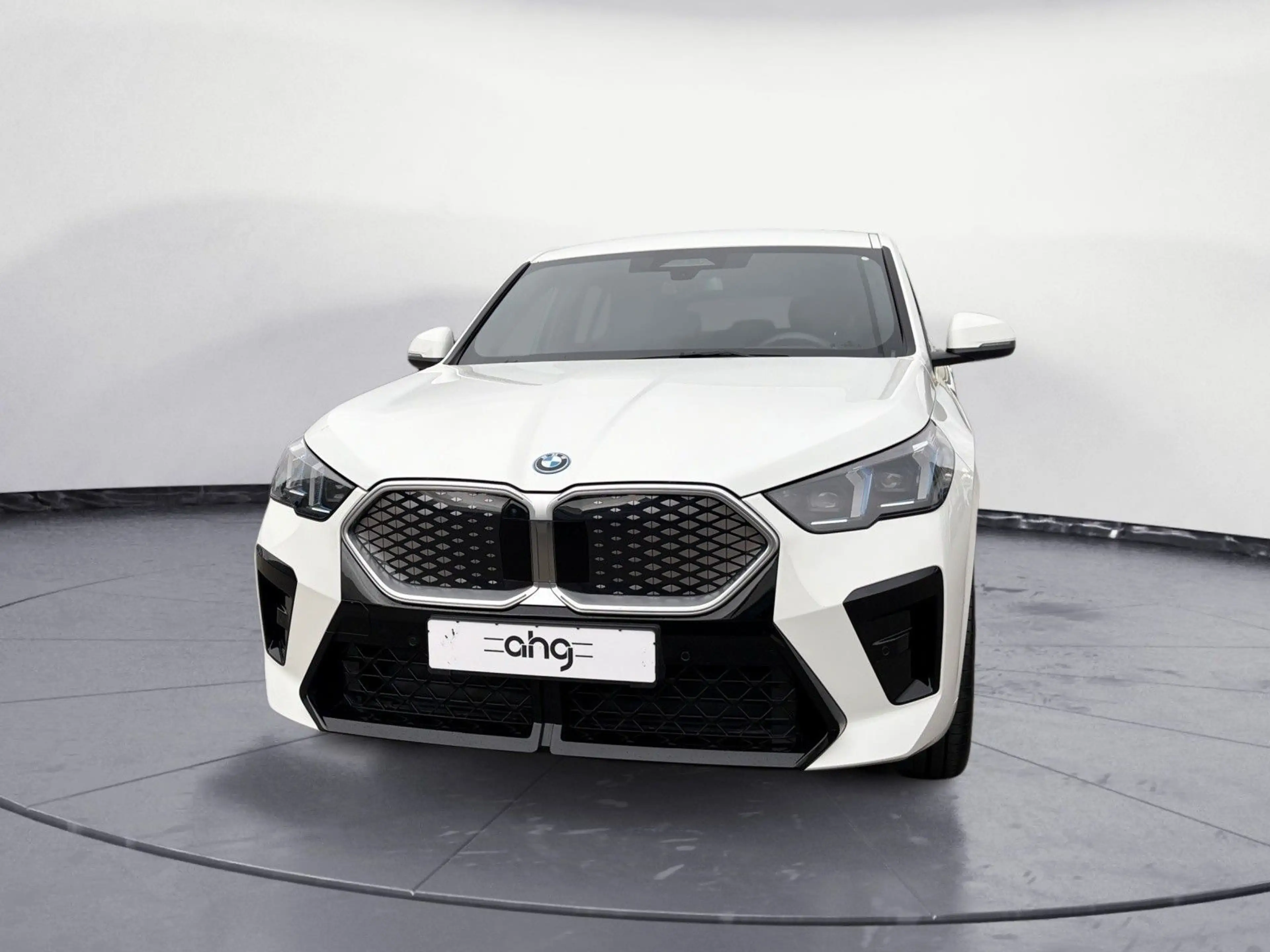 BMW iX2 ix2 xDrive30 Navi Tempom.aktiv Bluetooth PDC Hea — photo 10