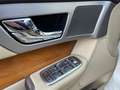 Jaguar XF 3.0d V6 240cv Portfolio soli 100.000km! Blanco - thumbnail 22