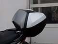 Honda Forza 125 LED SCHEINWERFER Blanc - thumbnail 10
