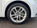 SEAT Leon Style 1.4 NAVI PDC SHZ LED TÜV/HU/NEU Weiß - thumbnail 22