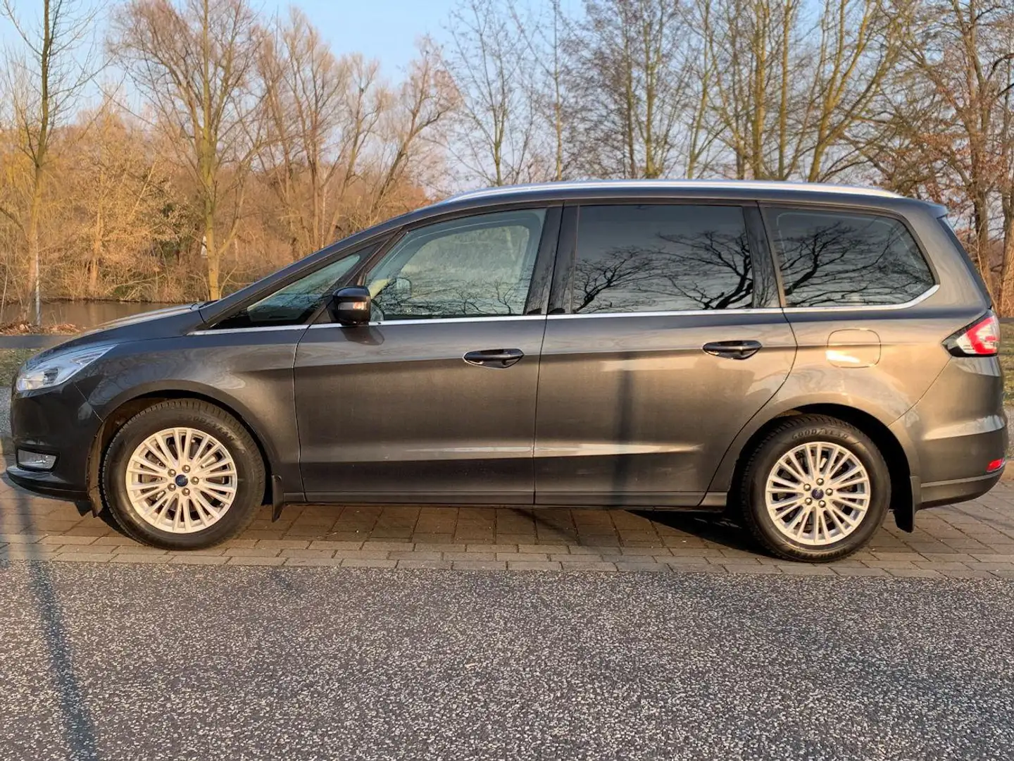 Ford Galaxy Galaxy 2.0 TDCi Titanium Grau - 2