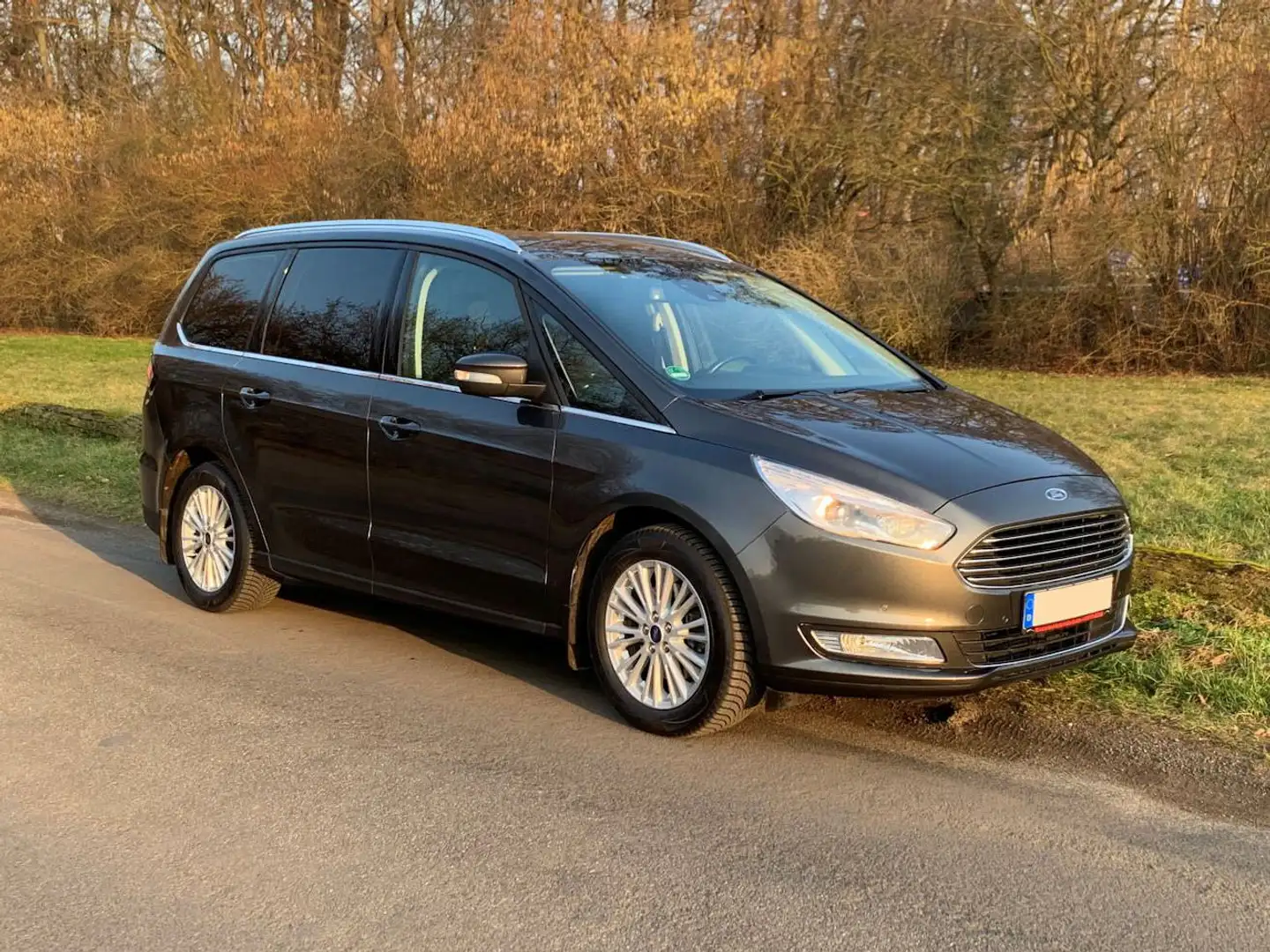 Ford Galaxy Galaxy 2.0 TDCi Titanium Grau - 1