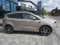 Ford Kuga Vignale Grau - thumbnail 5
