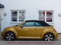 Volkswagen Beetle 1.4TSI Design Navi SHZ Klimautom. Twister Jaune - thumbnail 8