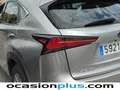 Lexus NX 300 300h Business 2WD Plateado - thumbnail 19