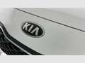 Kia Sportage 1.6 MHEV Drive 4x2 136 Blanco - thumbnail 33