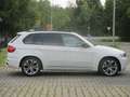 BMW X5 xDrive30d M-Paket TÜV + Servise NEU Bianco - thumbnail 4