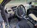 Ford Focus Trend +EXPORT+ Grau - thumbnail 3