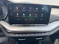 Skoda Octavia 4x4 Ambition TDI DSG Blau - thumbnail 15