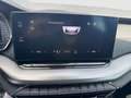 Skoda Octavia 4x4 Ambition TDI DSG Blau - thumbnail 16