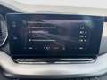 Skoda Octavia 4x4 Ambition TDI DSG Blau - thumbnail 17
