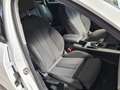 Audi A4 Avant 35 2.0 tdi mhev 163cv s-tronic!NAVI!ACC! Weiß - thumbnail 20