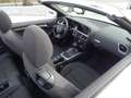 Audi A5 Cabrio 2.0TDI Multitronic Wit - thumbnail 21