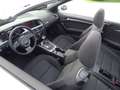 Audi A5 Cabrio 2.0TDI Multitronic Wit - thumbnail 19