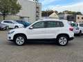 Volkswagen Tiguan 2.0 TDI Life BMT SHZ PDC LM" Weiß - thumbnail 4