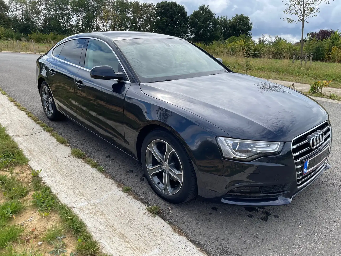 Audi A5 A5 1.8 TFSI Sportback Blauw - 1
