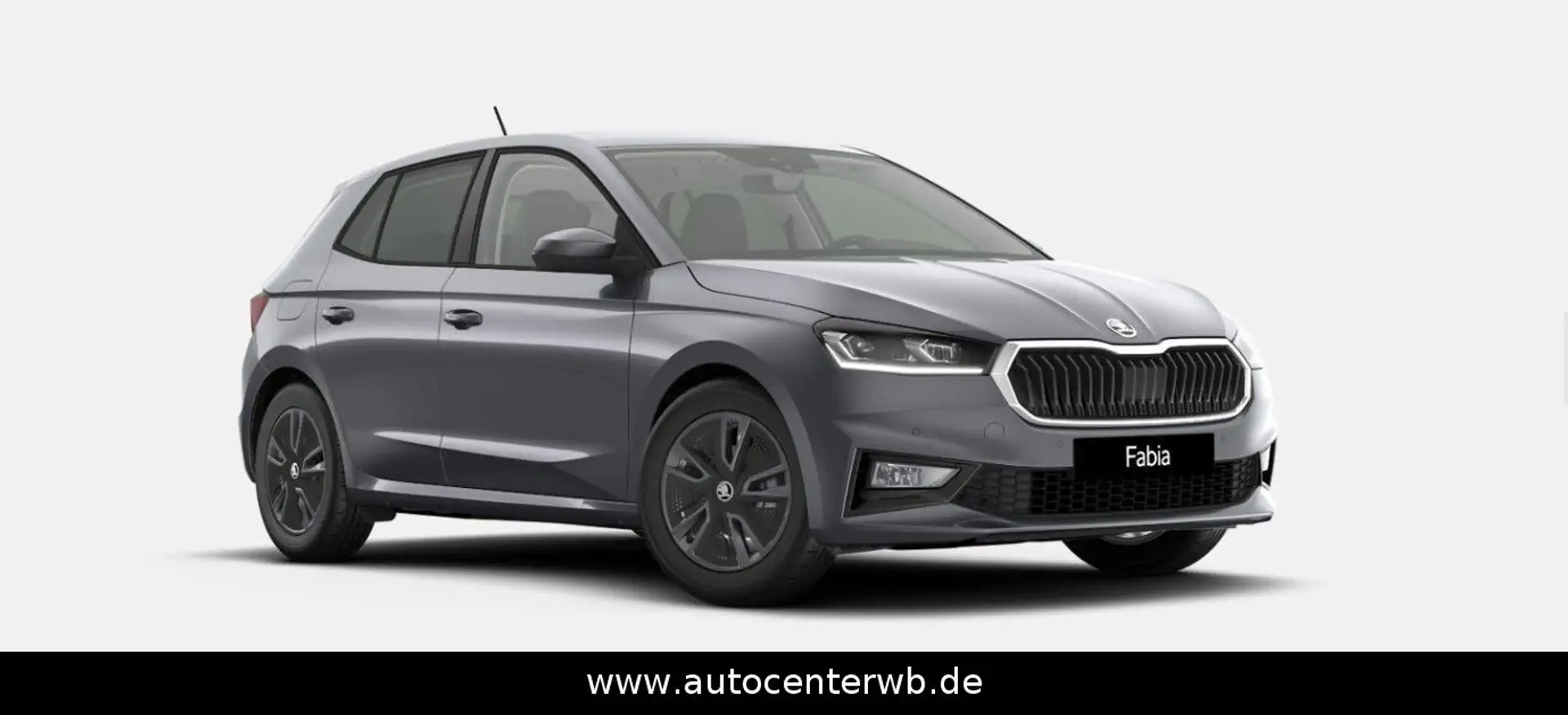Skoda Fabia Tour Grau - 1