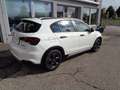 Fiat Tipo Cross FireFly Turbo 100 City Cross + Anhängerku... Weiß - thumbnail 3