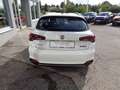 Fiat Tipo Cross FireFly Turbo 100 City Cross + Anhängerku... Weiß - thumbnail 4