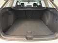 Volkswagen Golf Variant Business mHeV TSI DSG Weiß - thumbnail 17