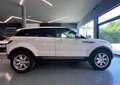 Land Rover Range Rover Evoque 2.2 td4 Pure Tech Pack 150cv 5p Blanc - thumbnail 4