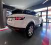Land Rover Range Rover Evoque 2.2 td4 Pure Tech Pack 150cv 5p Blanc - thumbnail 5