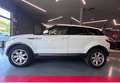 Land Rover Range Rover Evoque 2.2 td4 Pure Tech Pack 150cv 5p Blanc - thumbnail 8