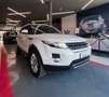 Land Rover Range Rover Evoque 2.2 td4 Pure Tech Pack 150cv 5p Blanc - thumbnail 3