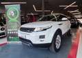 Land Rover Range Rover Evoque 2.2 td4 Pure Tech Pack 150cv 5p Blanc - thumbnail 1