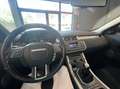 Land Rover Range Rover Evoque 2.2 td4 Pure Tech Pack 150cv 5p Blanc - thumbnail 10