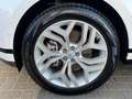 Land Rover Range Rover Evoque 1.5 P300e AWD R-Dynamic SE | Leder | Camera | Clim Blanc - thumbnail 11
