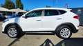 Hyundai TUCSON Tucson 1.7 CRDi XPossible Bianco - thumbnail 3
