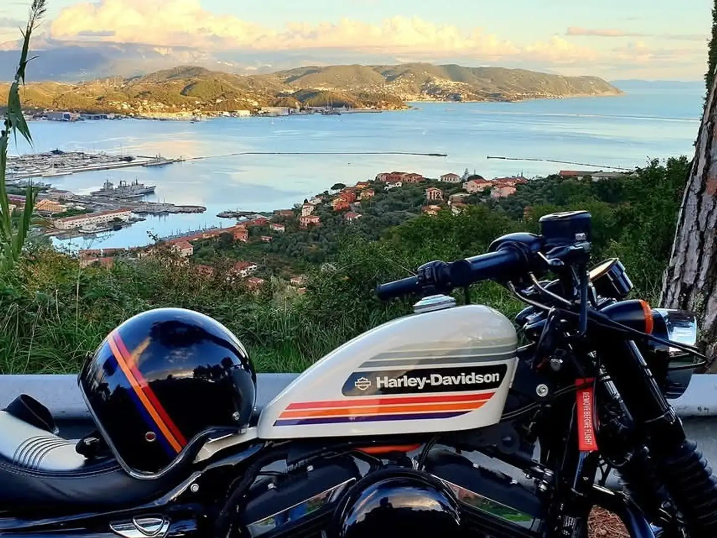 Harley-Davidson Sportster Forty Eight Alb - 1