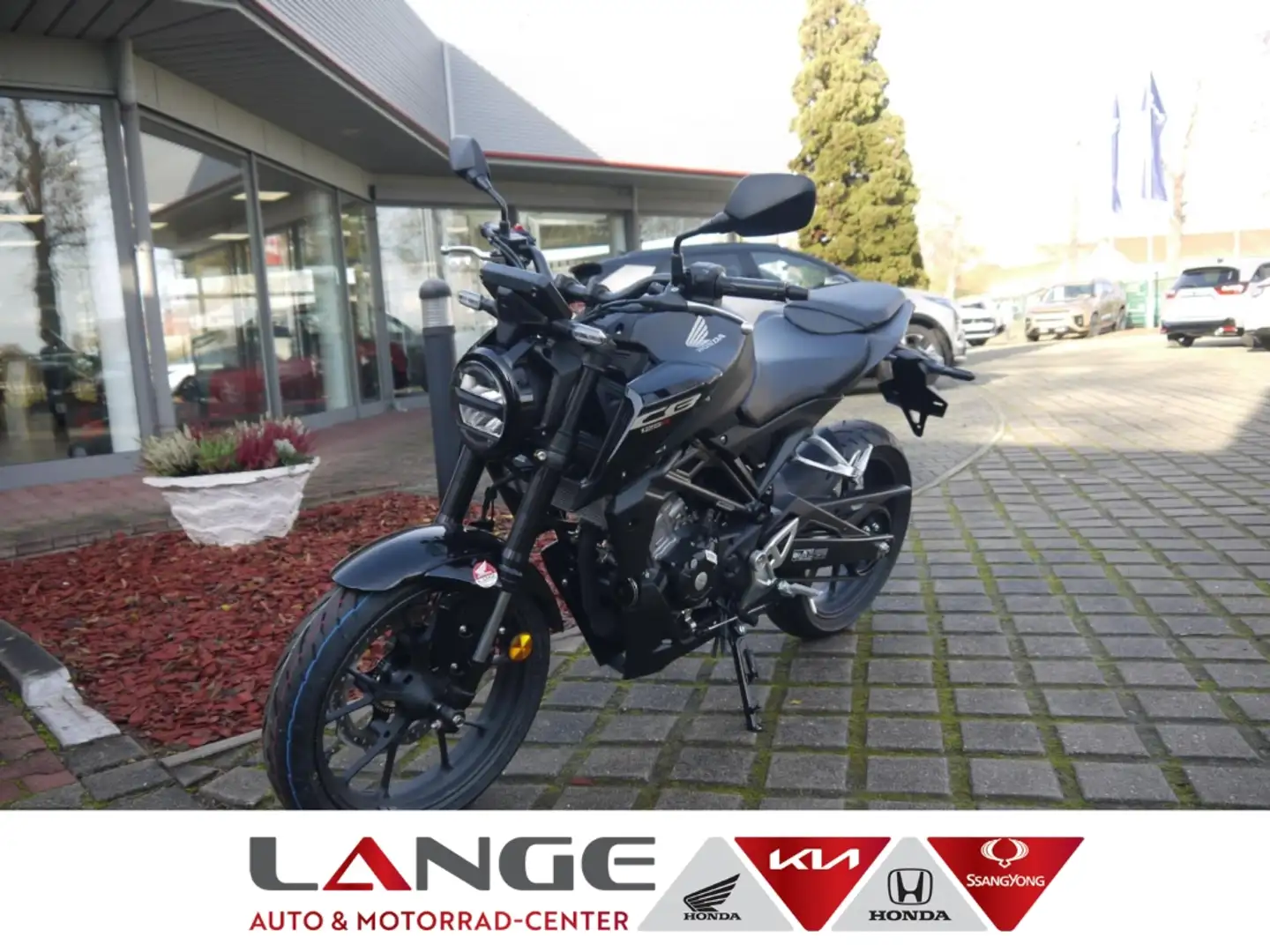 Honda CBF 125 CB125NAR ED CB125R TFT-Cockpit Gris - 1