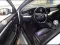 Skoda Octavia Style 2.0 TDI DSG Grau - thumbnail 5