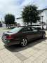 Mercedes-Benz E 220 BlueTEC BlueEfficiency Edition Avantgarde Aut. - thumbnail 5