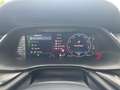Skoda Octavia Combi 2.0 TDI DSG 4x4 RS *AHK*Pano*Sthz* Weiß - thumbnail 13