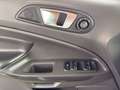 Ford EcoSport Titanium Navi Sitzheizung R-Cam PDC hi. Grau - thumbnail 22